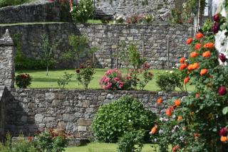 La Rosa al Roseto del Drago - Ponte in Valtellina - 0