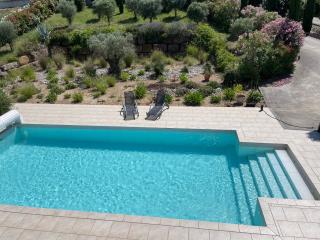 Villa ARTOS - piscine - 300 m2 - Carcassonne - 4