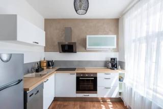 2 bedrooms apt near Wenceslas sq - Prague - 6