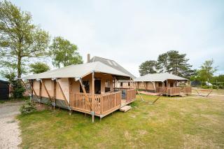 Glamping Callantsoog - Callantsoog - 8