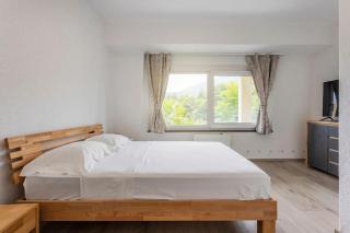 Casa Magging un oasi nel verde - Locarno - 8