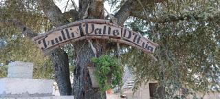 Trulli in Valle D'Itria - 3
