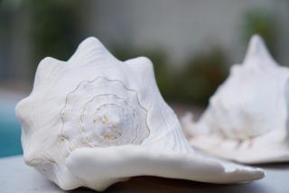 Chalés Tucano Praia da Pipa - Casas Natureza - 1