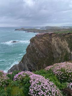 Aquarius B&B - Newquay - 2