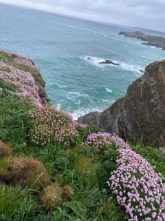Aquarius B&B - Newquay - 3