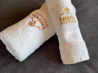 SASÓWKA APARTAMENT - 5