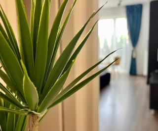 Aventurescu Studio Brasov Coresi - Braşov - 1