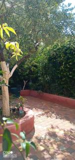 Appartement avec jardin - Roquebrune-Cap-Martin - 8
