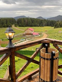 Zifinbungalov - Akcaabat - 5