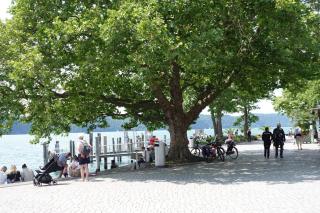 City-Apartments direkt am See - SEEBLICK! - 3