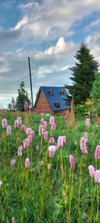 Zifinbungalov - Akcaabat - 9