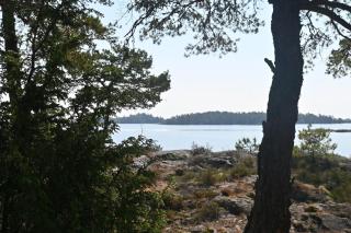 Rolfskärrs Stugby - Nygård - 3