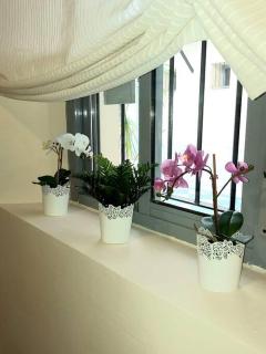 Apartamento en Alfarería-Triana - Sevilha - 4