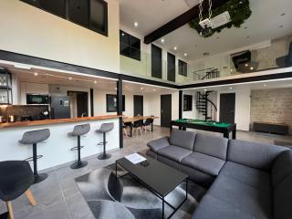 Loft entier Nancy centre et parking - Nancy - 0