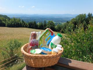 Kralj Matjaž - the green escape under Alps - Golnik - 2
