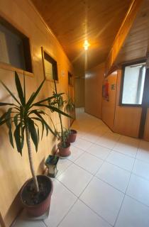 Hotel Palermo Quintero - 1