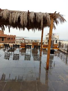 The LOTUS - Hurghada - 2