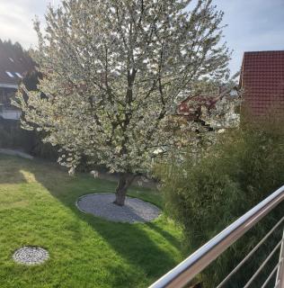 Ferienwohnung Fröse - Altenbeken - 7