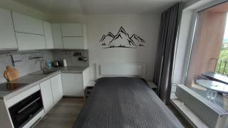 Mountain View Studio Apartment - Poprad - 8
