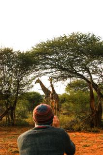 Karongwe River Lodge - Hoedspruit - 9
