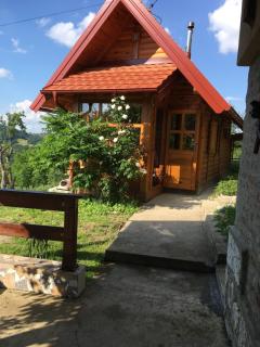 Brvnara Ruska sauna - Čajetina - 6