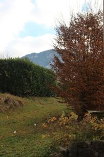 Aix les Bains Appartement 2p standing 40m2 avec jardin, parking, proche thermes - Aix-les-Bains - 1