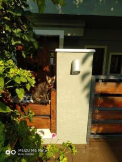 Cosy Vacation in Peraia - 5