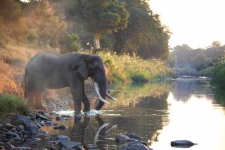 Karongwe Portfolio - Kuname Lodge - Hoedspruit - 7