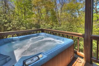 Four Ridges Lodge - Cherry Log - 7