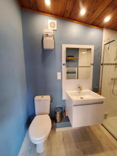 Studio - Chalet indépendant - Décines-Charpieu - 3