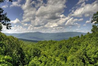 Hummingbird Haven - 8