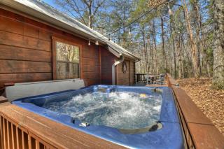 Bear River Cabin - Mineral Bluff - 8