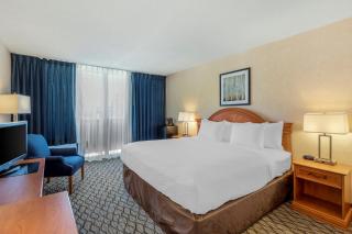 Clarion Hotel Anaheim Resort - Anaheim - 6