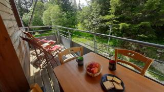 Charmant appartement au pied des pistes - 0