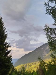 Appartamento I Larici - Folgarida - 9