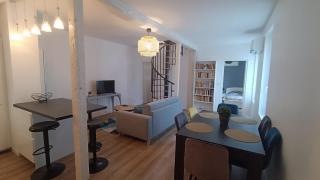 Duplex - Palais de Justice - Tolosa - 9