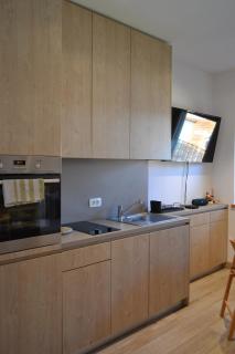 APARTMA VODNIK - Bohinj - 4