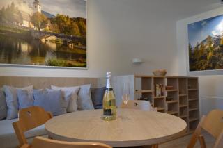APARTMA VODNIK - Bohinj - 9