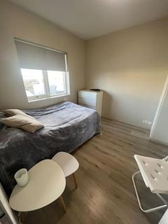 Golden Circle house 1 - Selfoss - 4