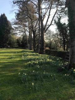 Log cabin rural retreat in beautiful countryside - Lapworth - 9