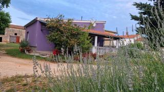 Charming cozy holliday house 2+2 - 9