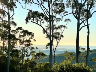 Tamborine Mountain Lodge - 0