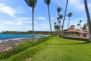 Napili Shores E244 - Kahana - 0
