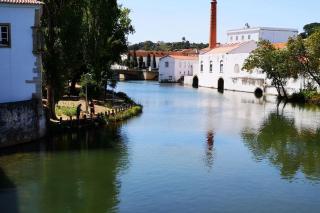Casa da Ruiva - Serra - 9