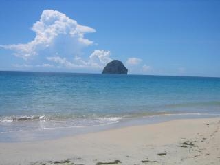 Villa Emeraude - Superb Creole villa, direct access to the Diamant beach, amazing pool - Le Diamant - 2