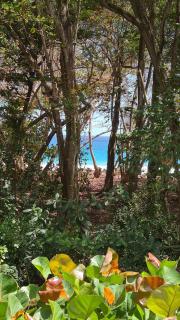 Villa Emeraude - Superb Creole villa, direct access to the Diamant beach, amazing pool - Le Diamant - 6