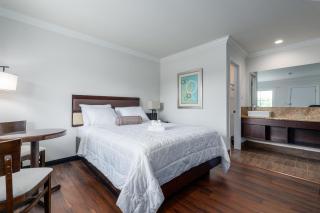 Crewe Boutique Inn - - 4
