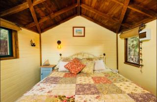Rustic cabin with hot tub - Homewood Forest Retreat - 8