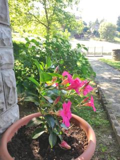 Villetta con giardino - Camugnano - 7
