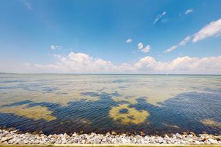Waterfront Haven Retreat - Destin - 9